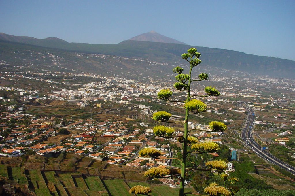 valle-orotava-2